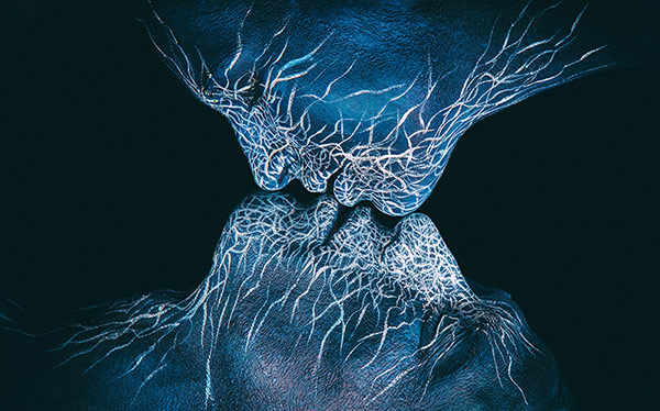 Winners of the WBA Image Awards 2016